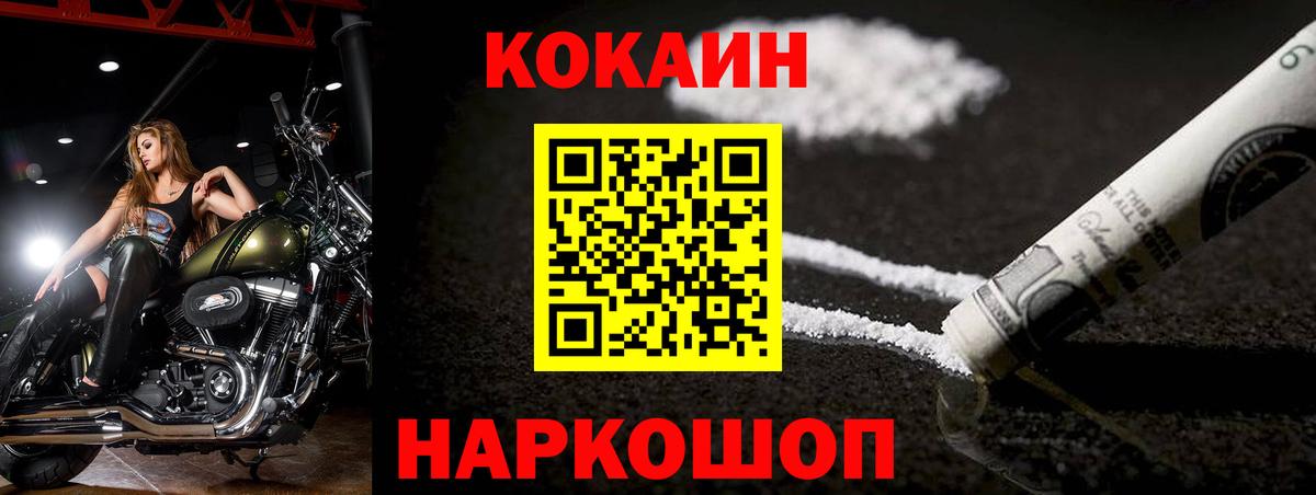 COCAIN Fish Scale  Вход с VPN  Владикавказ 