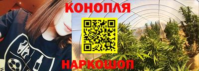 гидропоника Заводоуковск