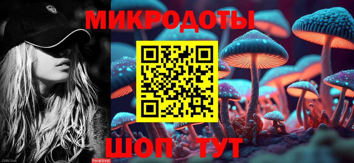 Псилоцибиновые грибы MAGIC MUSHROOMS Владикавказ