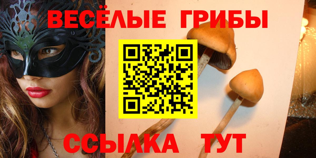 Галлюциногенные грибы мицелий  Вход с VPN  Владикавказ 